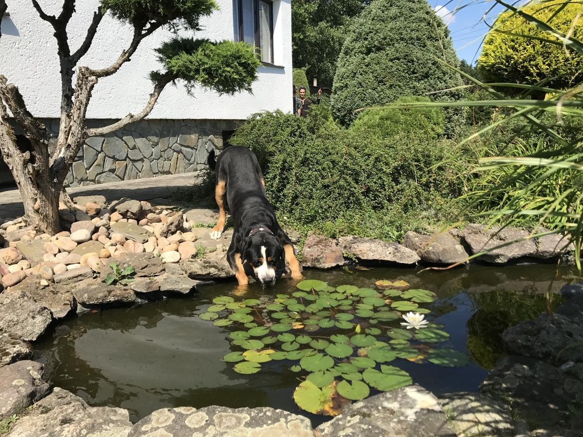 Vila Verunka プルゼニ エクステリア 写真